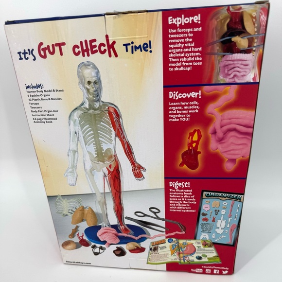 Smartlab Squishy Human Body - Picture 2 of 3